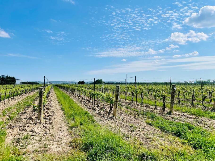 Waterfront Niagara-On-The-Lake Farmhouse On A Vineyard Villa Exteriör bild